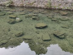 -宁波五龙潭景区