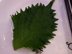 -福泉海码头(六里山店)