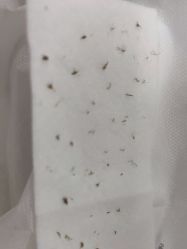 -SKIN79皮肤管理中心