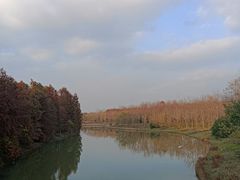 -上海海湾国家森林公园