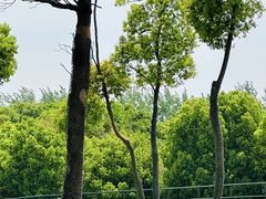 -常州淹城野生动物世界