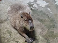 -南昌融创海世界