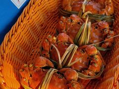 -蟹村草堂·苏式园林人文农家·大闸蟹