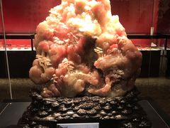 -中华世纪坛
