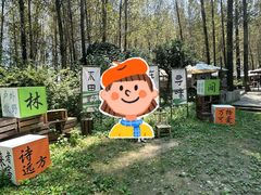 -林间山庄