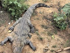 -石家庄市动物园