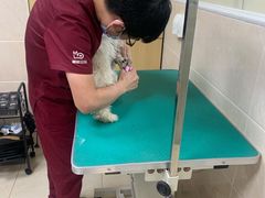 -美联众合爱康动物医院•复杂内科•肿瘤科•牙科•腔镜诊疗中心