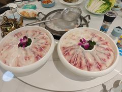 -脆鱼家·中山脆肉鲩鱼火锅(石龙仔店)