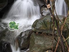 -藏龙百瀑风景区