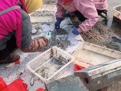 -青岛沙子口国家中心渔港