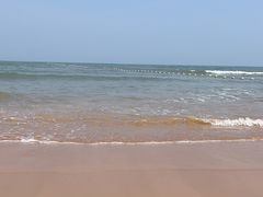 -日照海滨国家森林公园
