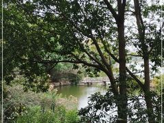 -雨湖公园
