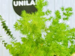 -USTC1958东区·by UNILAB
