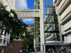 -香港大学