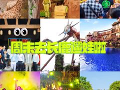 -长鹿旅游休博园