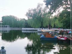 -丰台花园