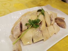 清远白切鸡-粤·向群饭店(泮塘路店)