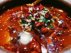 麻辣水煮八仙锅-荷风细雨·中国茶宴(碧云店)