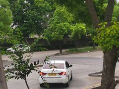 -胜华驾校·小猫学车(银都店)