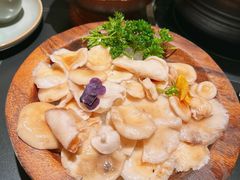 -季季山·云南野生菌火锅(上海首店)