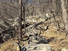-崂山巨峰游览区