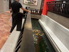 -龙悦湾酒家·八阵鱼生·渔人码头店