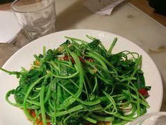 芥兰苗-佬肥猫(国华广场店)