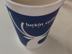 -瑞幸咖啡(水平方店)