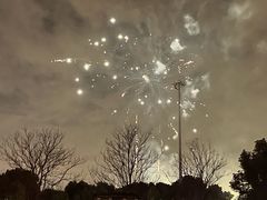 -顾村公园3号门停车场