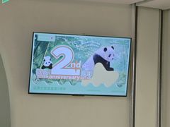 -眉州东坡·熊猫主题餐厅(枫蓝店)