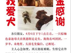-永红源啤酒·烧烤·海鲜·大排档(台柳路店)