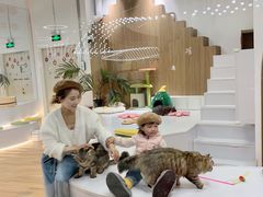 -COLOR PETS 撸猫馆·购猫·猫咖(长风大悦城店)