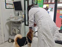 -瑞鹏瑞爱宠物医院·全科·猫科·血液透析中心(龙头寺店)