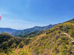 -北京鹫峰国家森林公园
