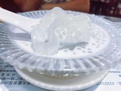 椰汁西米炖海底椰-仁信老铺(嘉信店)