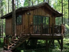 -黄海国家森林公园