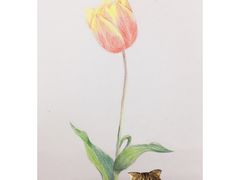 -黑骏画室·深圳美术中高考黄埔军校