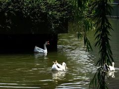 -浙江大学(玉泉校区)