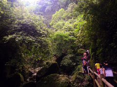 iphone_upload_pic-青城后山