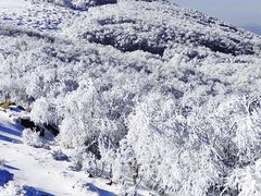 -灵山