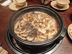 -滇野云南野生菌餐厅(陕西南路店)