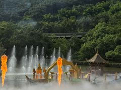 -西双版纳原始森林公园