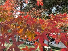 -狼山风景名胜区