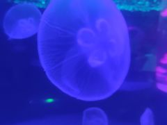 -波塞冬海底世界