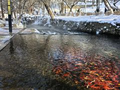 -水磨沟公园