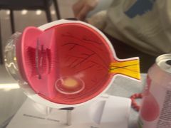 -武汉大学附属爱尔眼科医院(湖北总院)