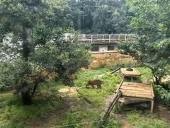 -昆明动物园