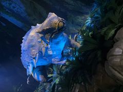 -侏罗纪世界电影特展(广州站)