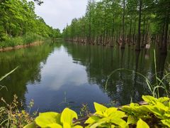-泗洪洪泽湖湿地景区