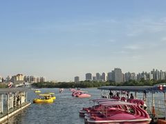 -天津水上公园